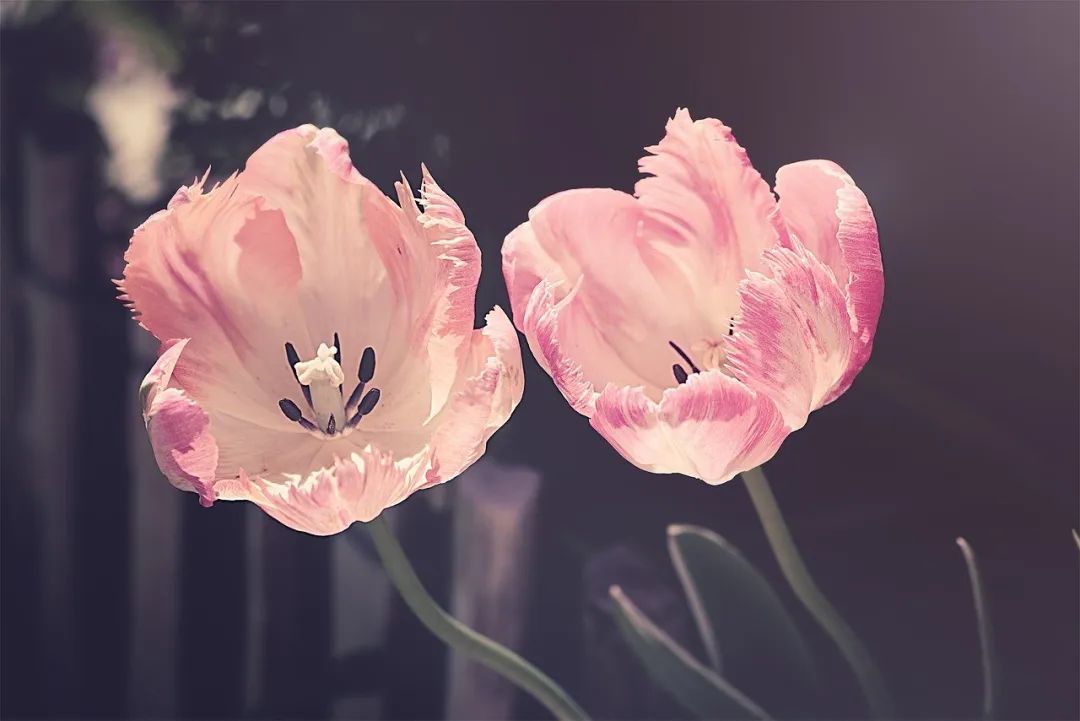 2d1eb3d96210366dd944594b95399f81.jpg